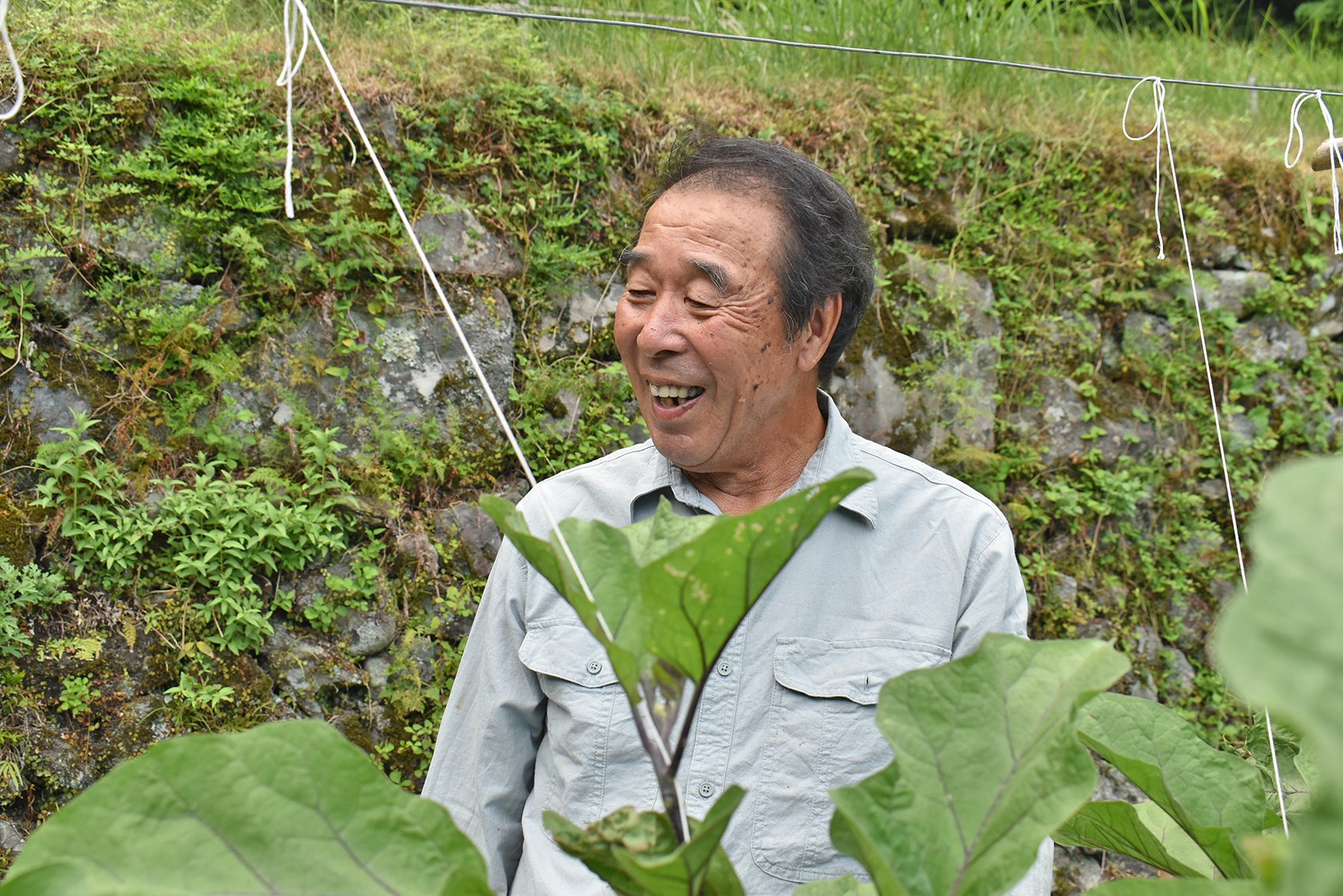 この土地にしかない「ぼたなす」を大切に守り続けたいとおっしゃる谷口さん