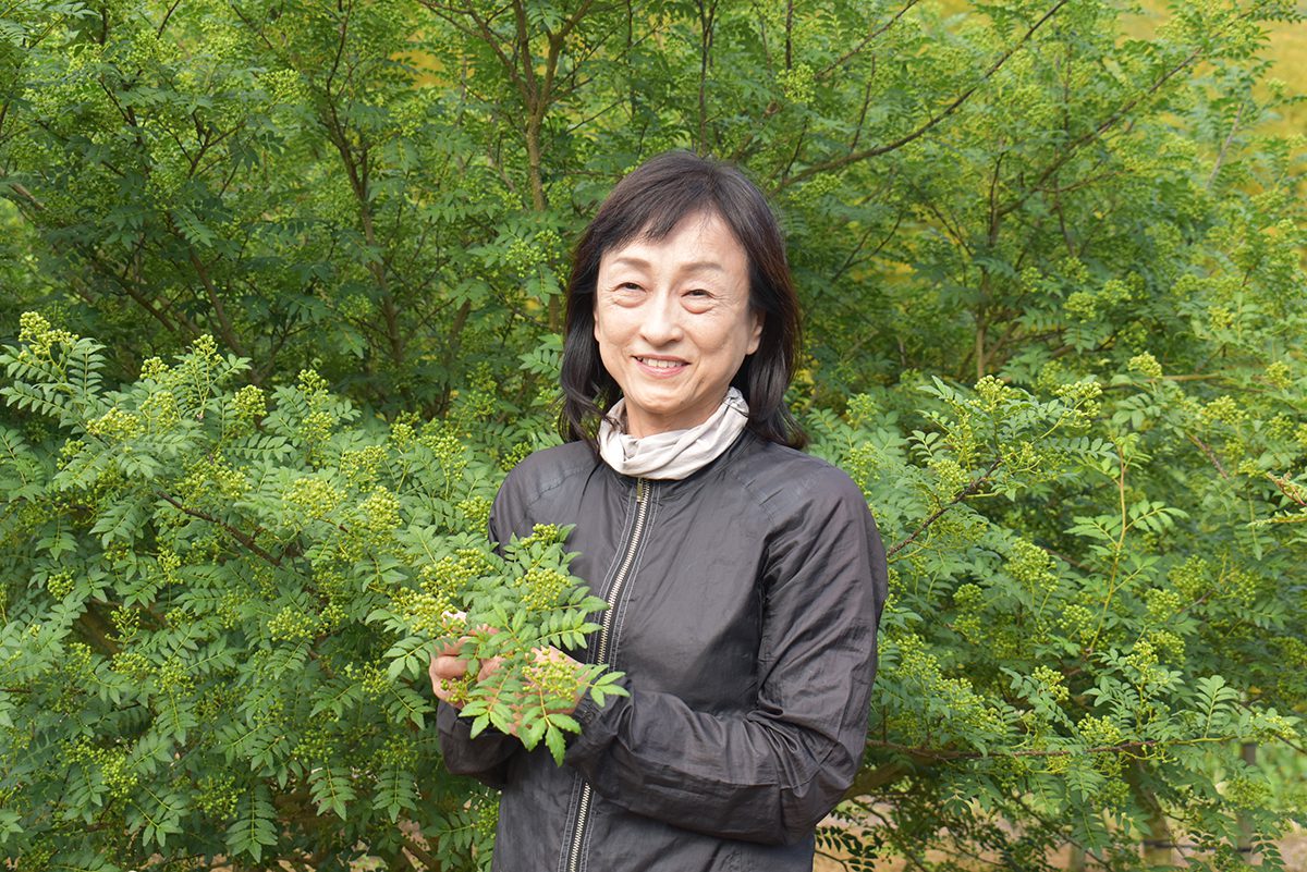 ふじはら山椒園の藤原春江さん。