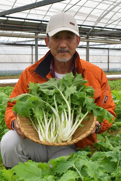 潮江菜復活の立役者、潮江地区で代々農家を営む熊澤秀治さん